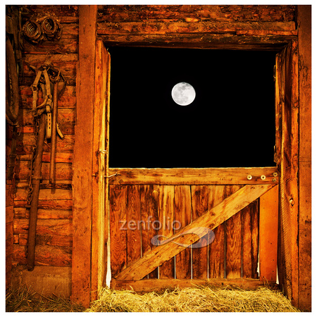 Barn Door