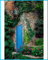 Blue Door