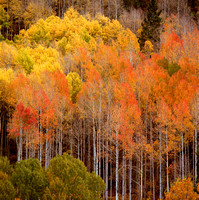 Southwest Colorado