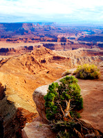 Dead Horse Point